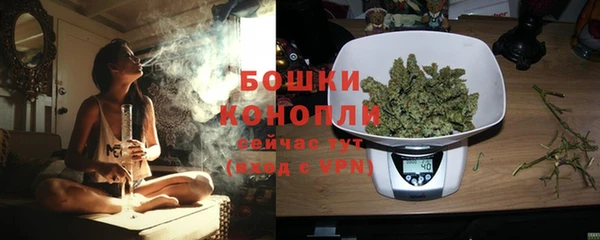 прущие грибы Краснослободск