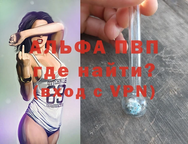 мяу мяу кристалл Корсаков