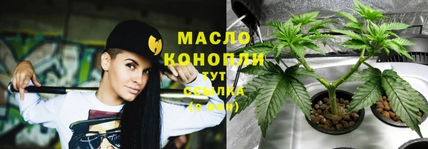 мяу мяу кристалл Корсаков