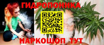 индика Изобильный