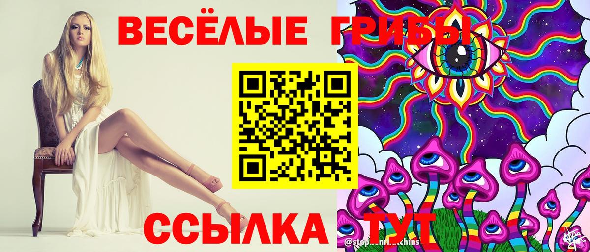 Галлюциногенные грибы GOLDEN TEACHER Коркино